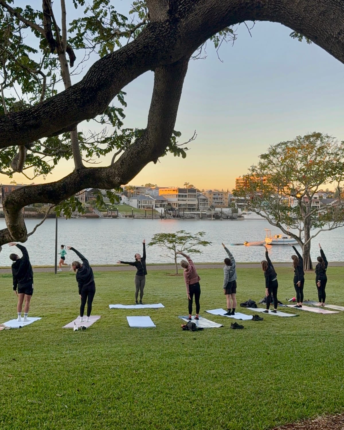 Yoga Club members standing with arms raised on the grass at Merthyr Park, New Farm, early morning.